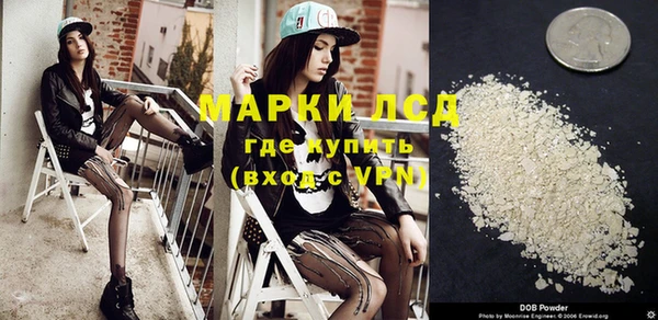 прущие грибы Армянск