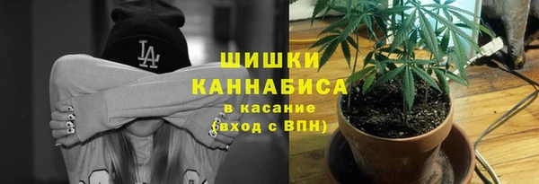 прущие грибы Армянск