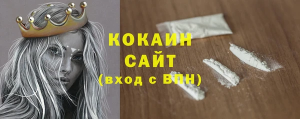 индика Протвино