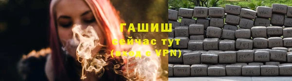 прущие грибы Армянск
