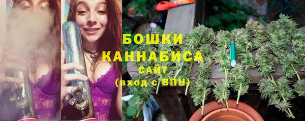 прущие грибы Армянск