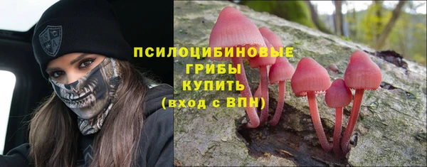 сатива Балабаново