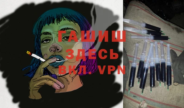 гашик Арсеньев