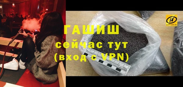 гашик Арсеньев